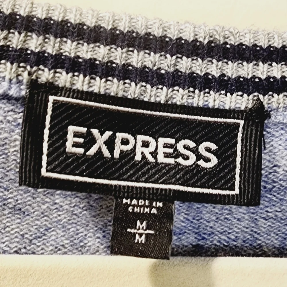 Express Men's Cotton V Neck Blue Lion Sweater size M